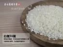 台梗16號米