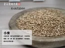 小麥