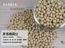 非基改黃豆