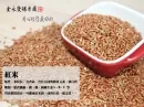 紅米